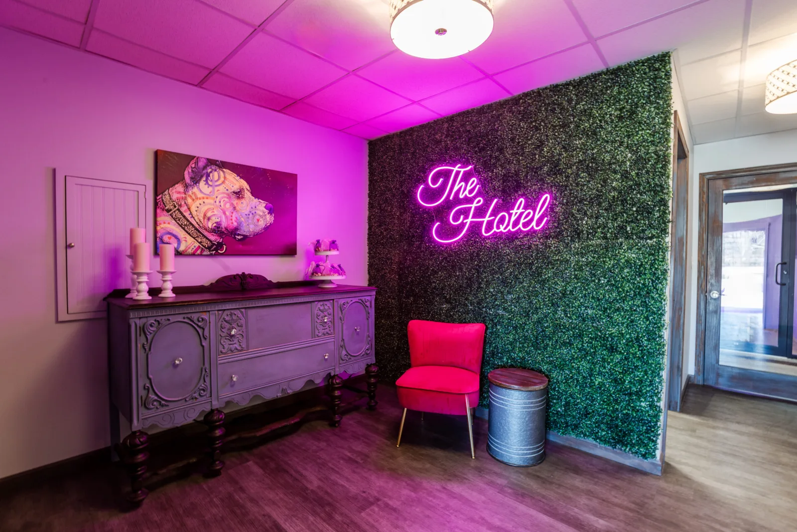 The Hotel For Homeless Dogs * New England Humane Society