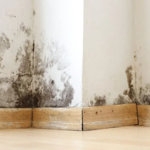 Green Home Solutions of Northern Rhode Island photo 8