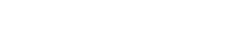 ION Audio LLC logo