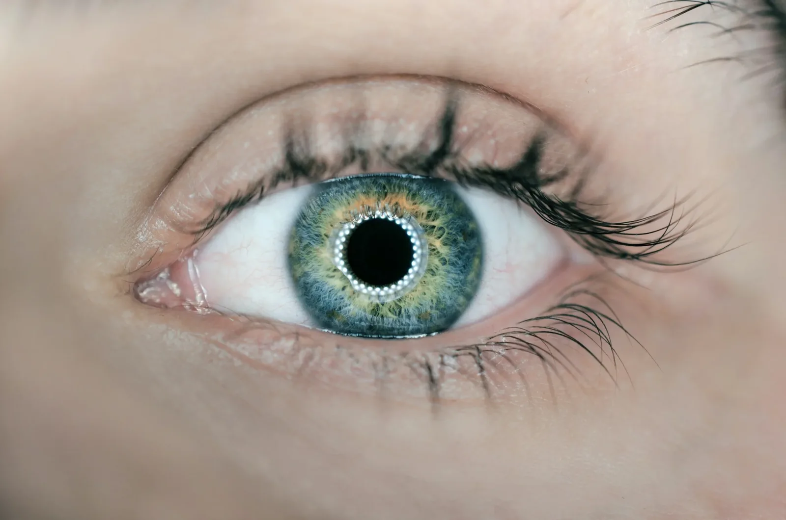 The Eye Doctor photo 5