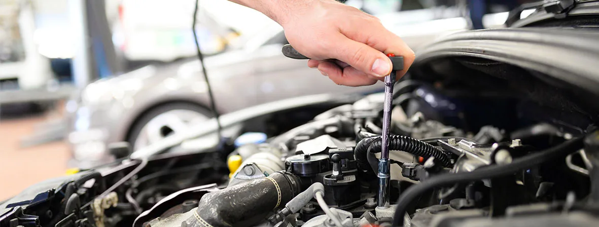 International Motor Group - Service Department photo 2