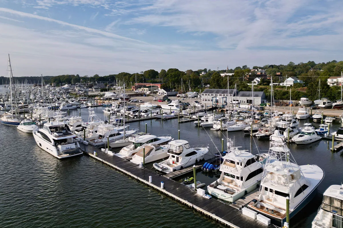 Greenwich Cove Marina photo 4