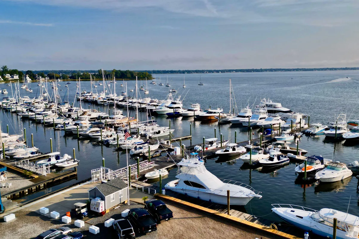 Greenwich Cove Marina photo 2