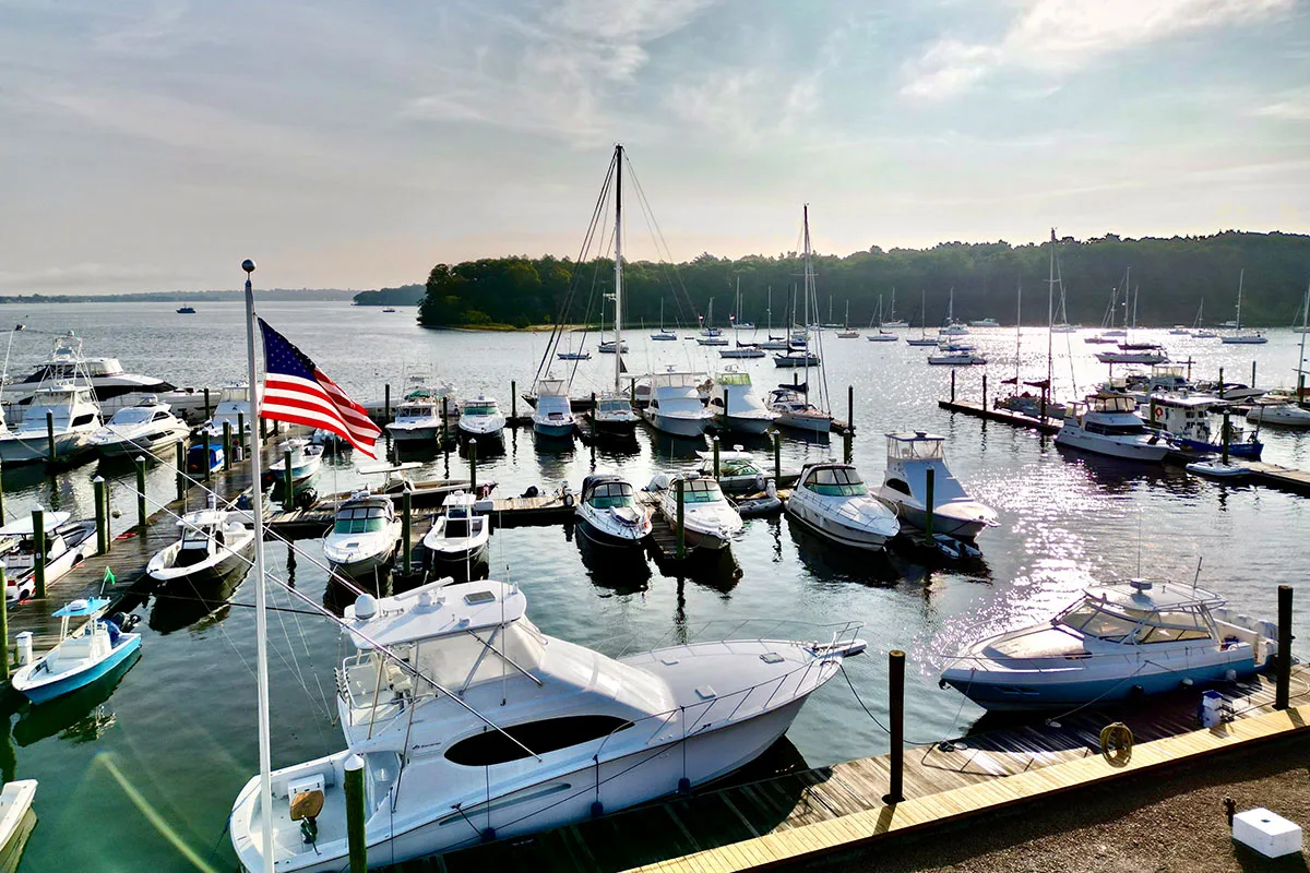 Greenwich Cove Marina photo 3