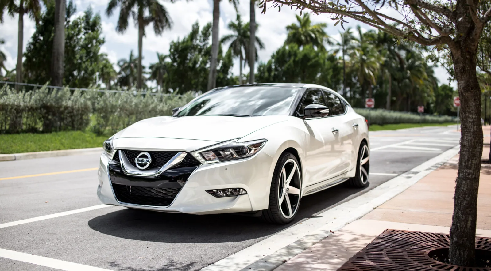 Avo's Automotive photo 2
