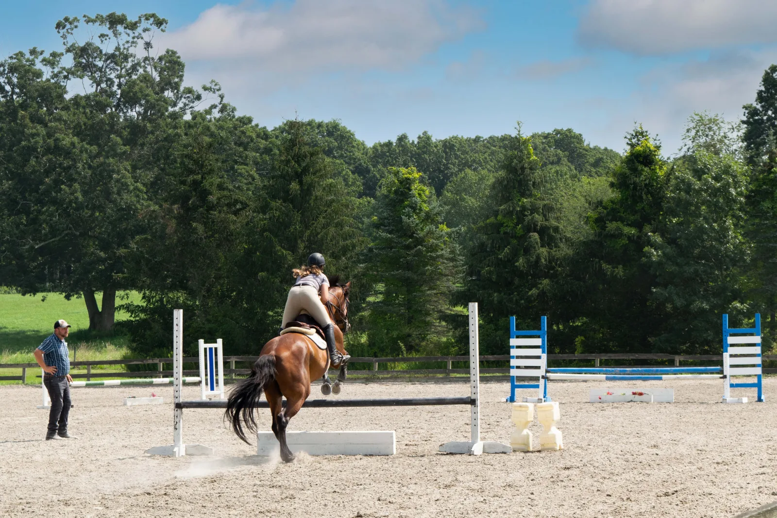 Silverstone Stables photo 6