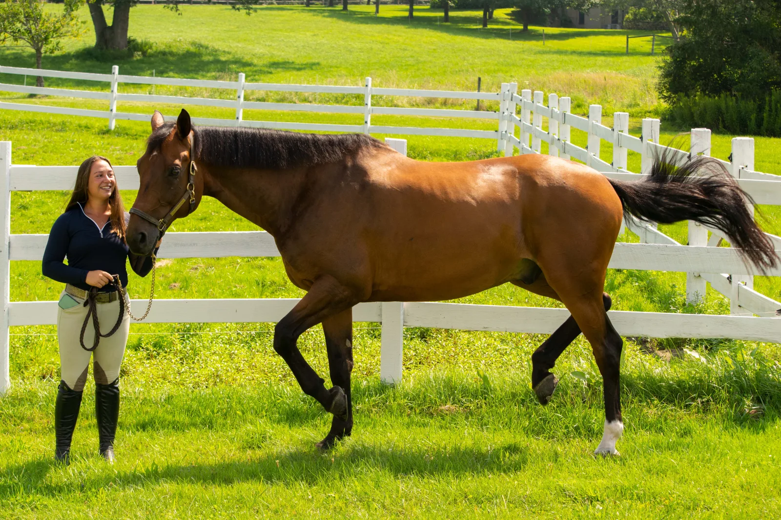 Silverstone Stables photo 11