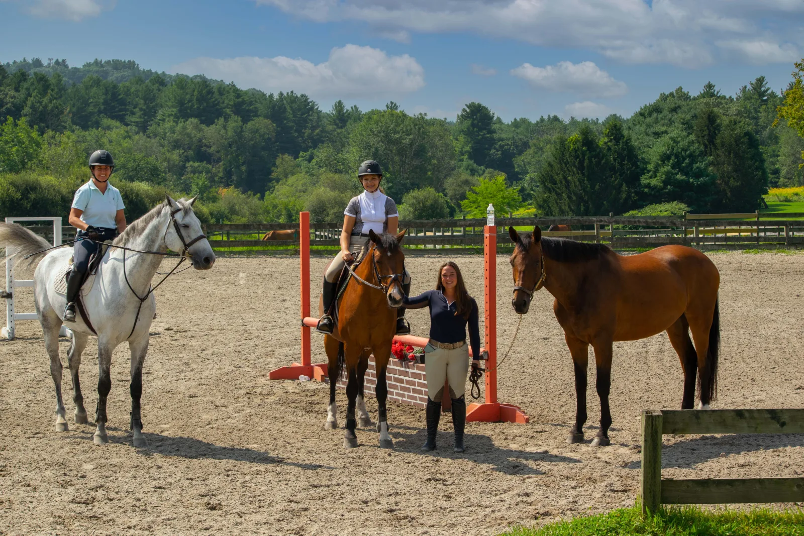 Silverstone Stables photo 5