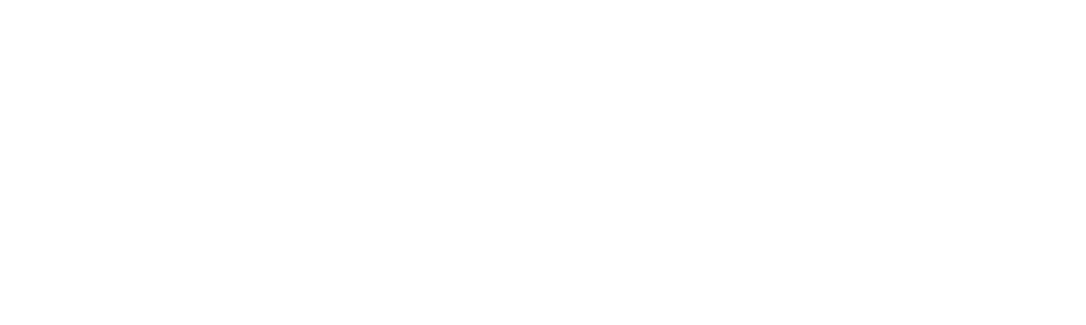 The Martucci Group logo