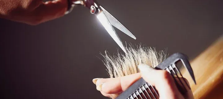 Best Cuts photo 6
