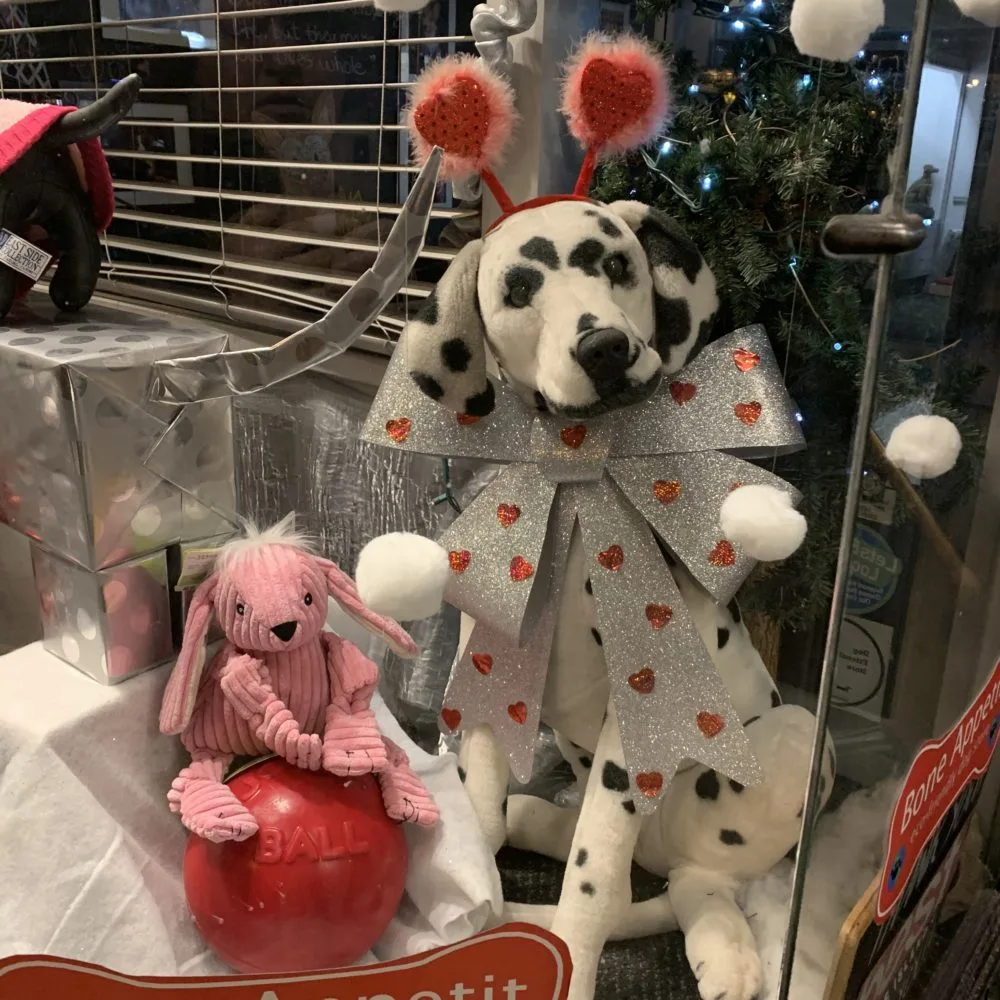 Bone Appetit Dog Store photo 6