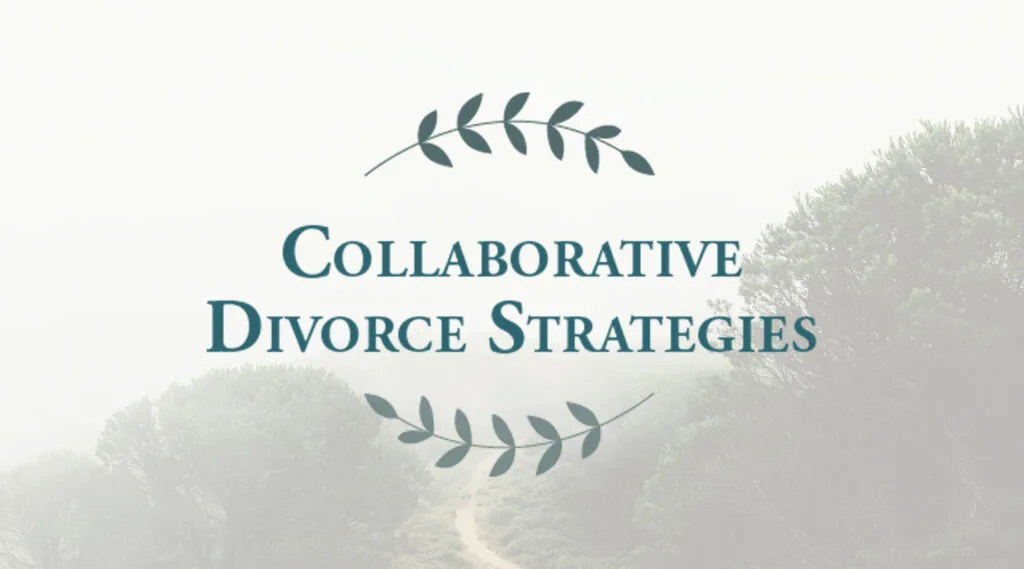 Collaborative Divorce Strategies