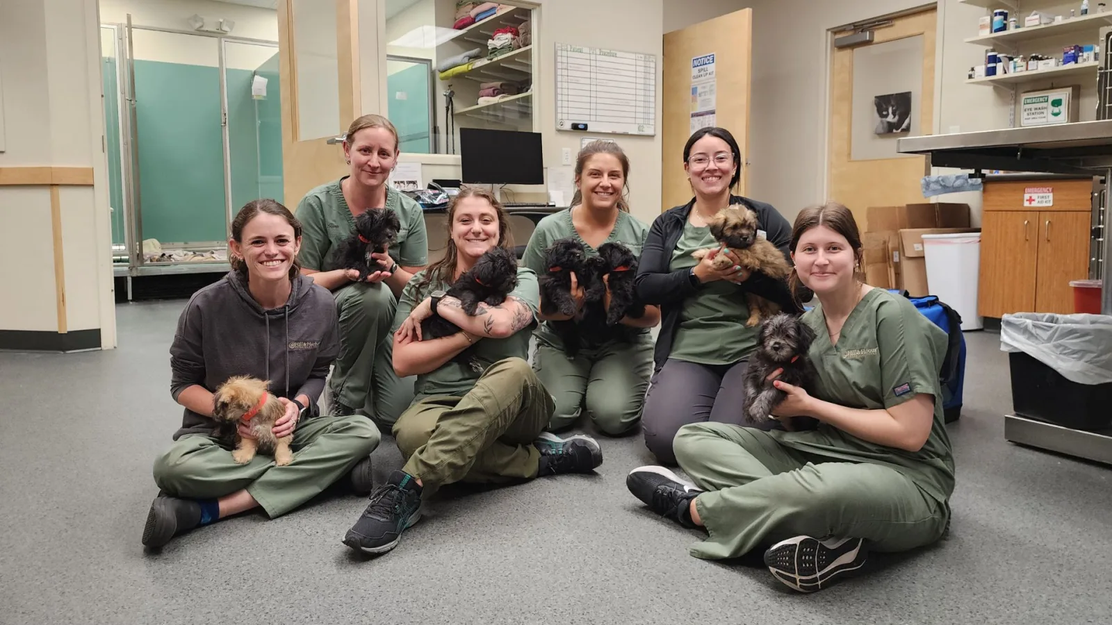 Hill & Harbour Veterinary Center