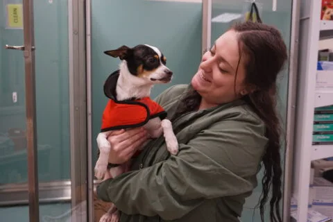 Hill & Harbour Veterinary Center photo 5