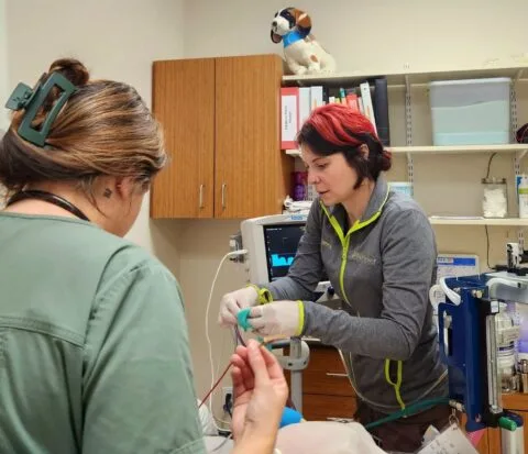 Hill & Harbour Veterinary Center photo 9
