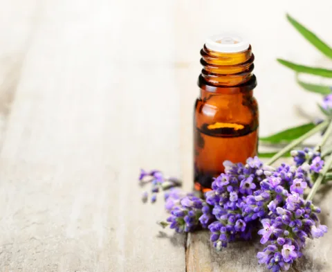 Massage Therapy and Wellness photo 10