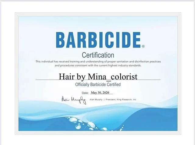 HAIR BY MINA COLORIST TEAM photo 8