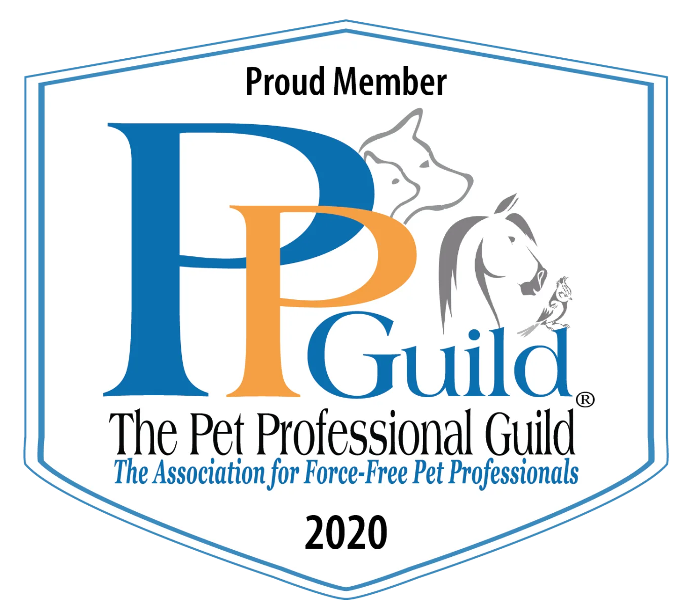 Modern Dog Training Ri Llc photo 11