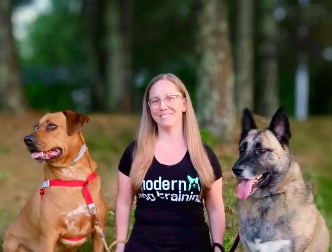 Modern Dog Training Ri Llc photo 5