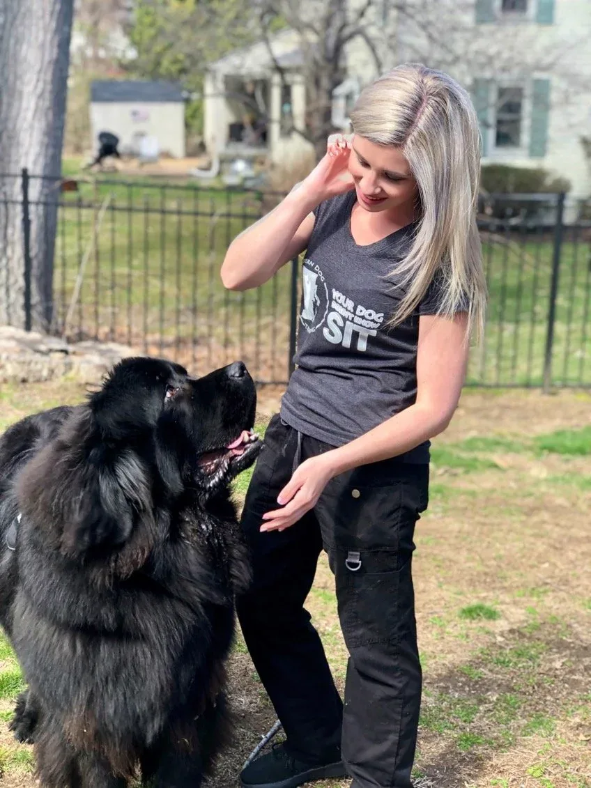 Modern Dog Training Ri Llc photo 7