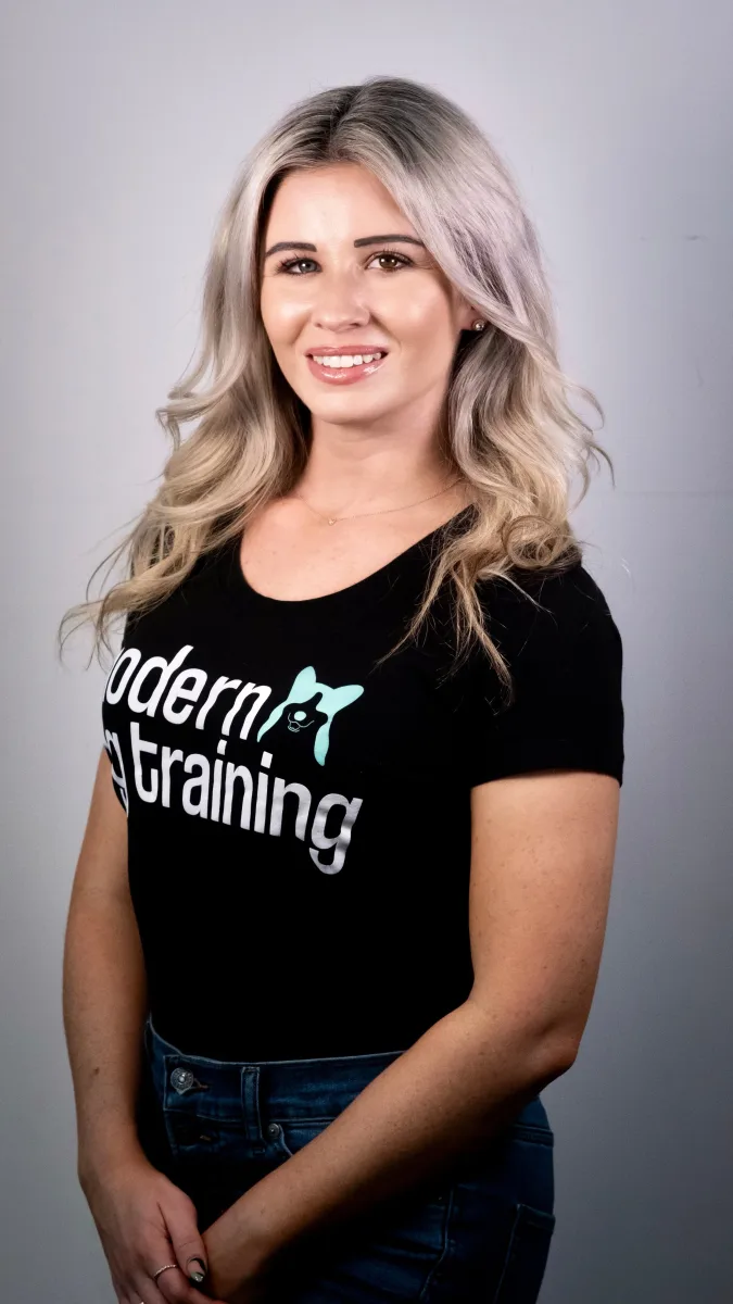 Modern Dog Training Ri Llc photo 4