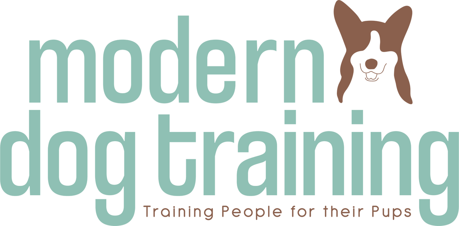 Modern Dog Training Ri Llc photo 2