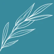 Pretty Willow Thing logo