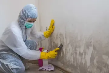 Servpro photo 5