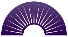Shine the Light Healing & Wellness logo