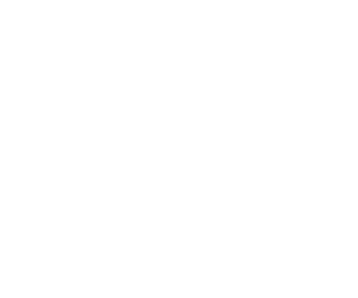 The Tiffany Chin Group