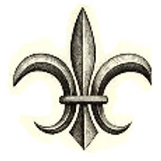 Velvet Beret logo