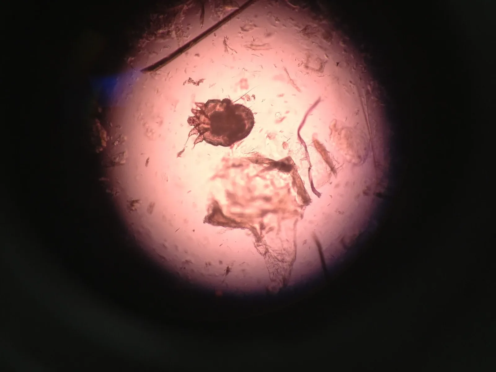 Veterinary Healing Arts photo 9