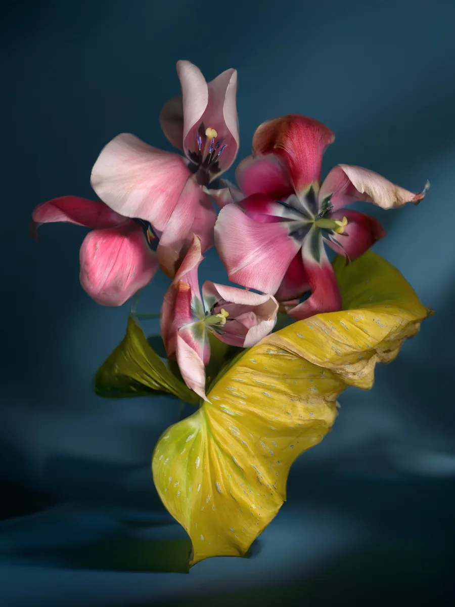 YJ Contemporary Fine Art photo 4