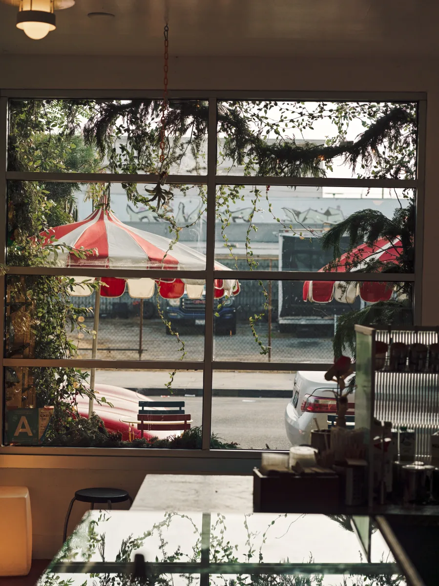 Jurassic Magic Coffee photo 10