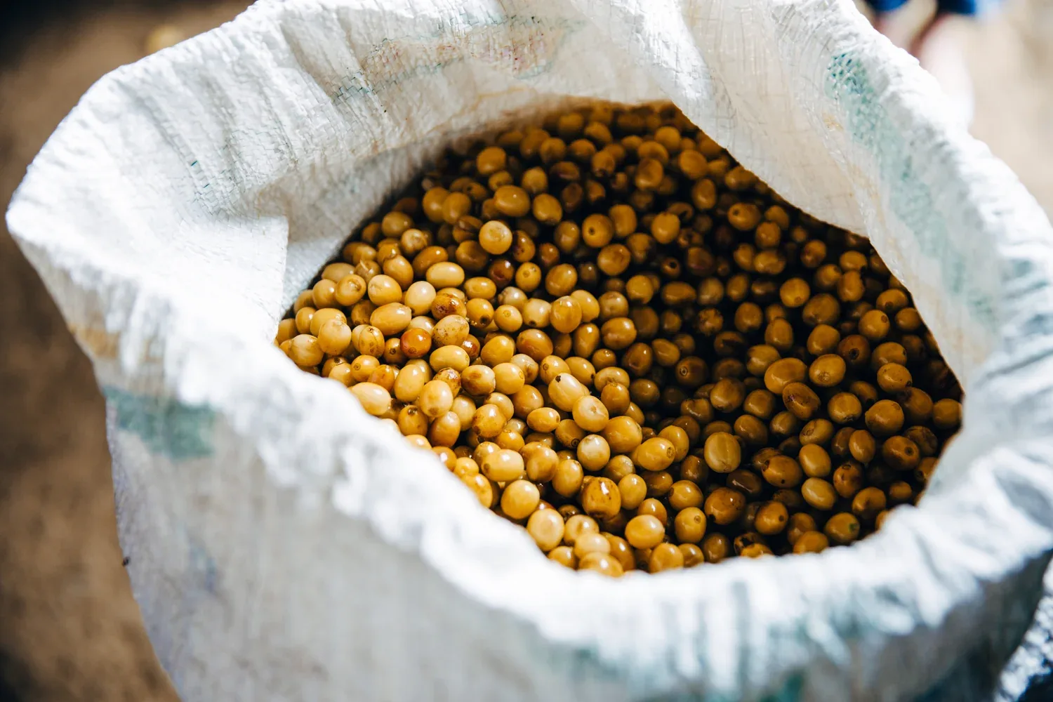 Alchemist Coffee Project