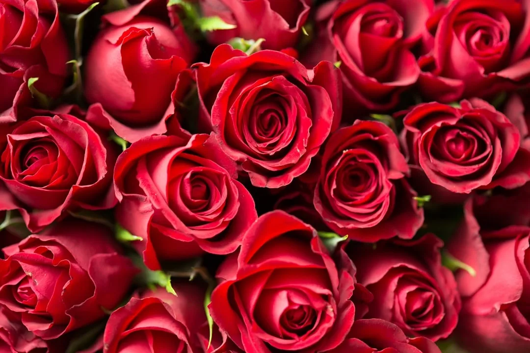 Full Vase Florist photo 5