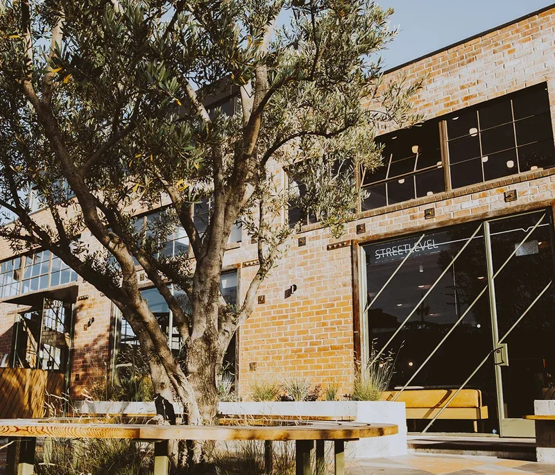 Verve Coffee Roasters photo 2