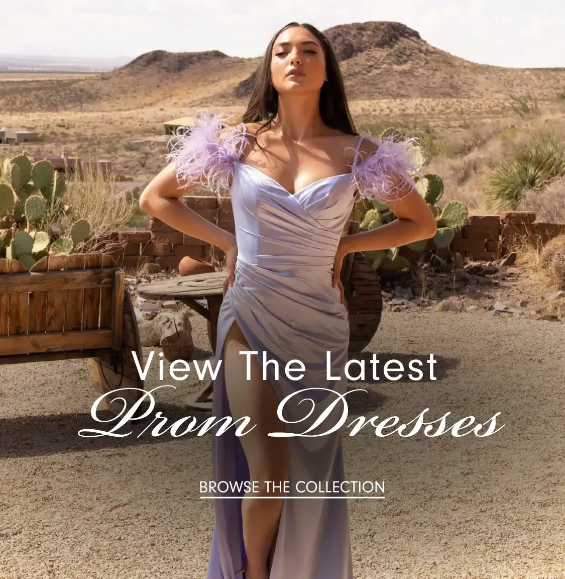 Ana's Bridal Boutique photo 7