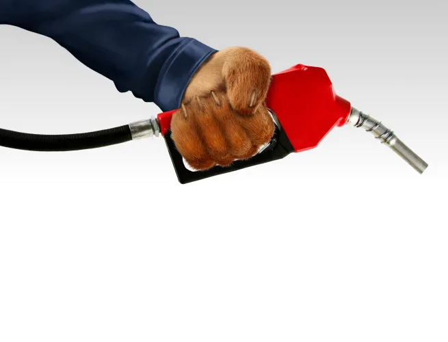 Exxon photo 5