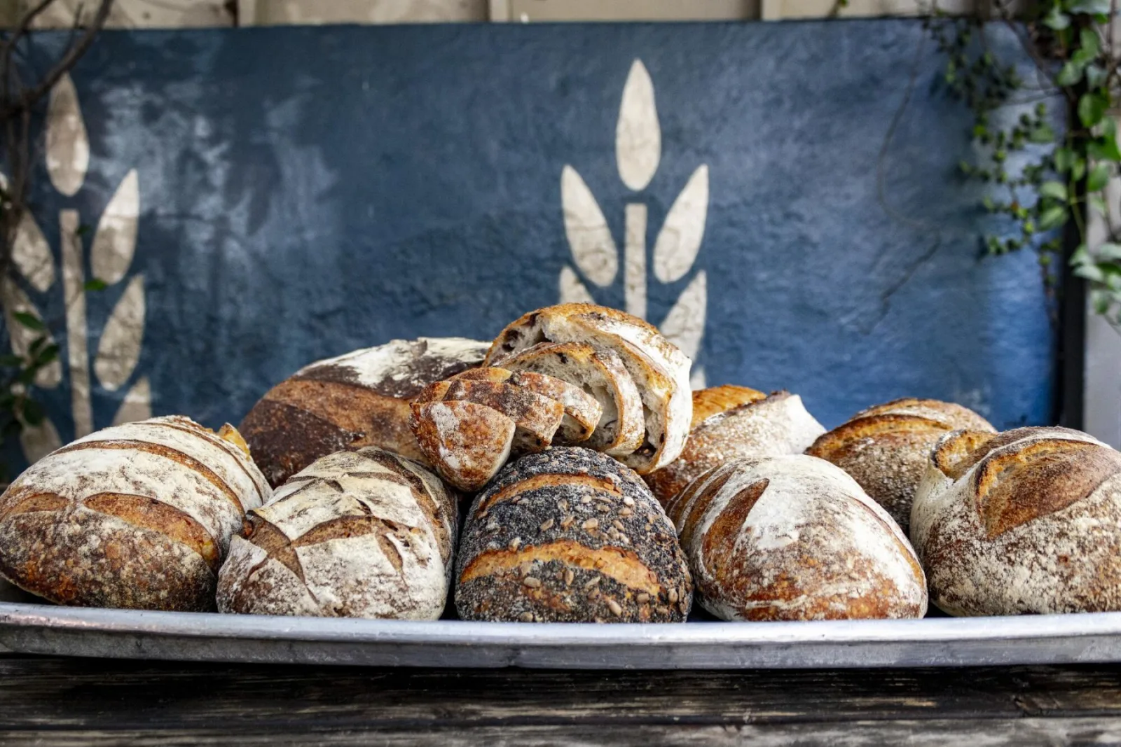 Bread Lounge