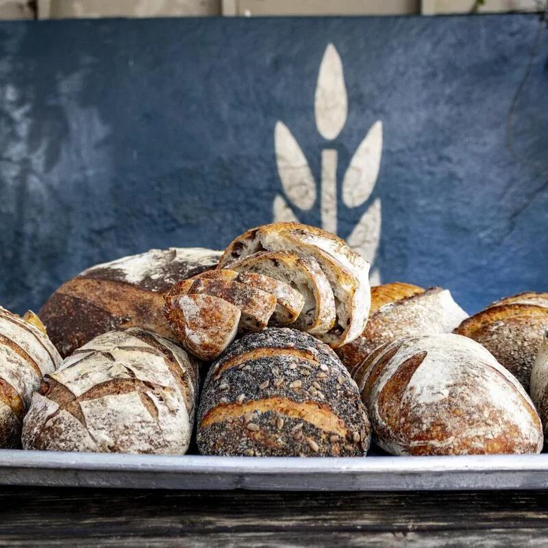 Bread Lounge photo 7