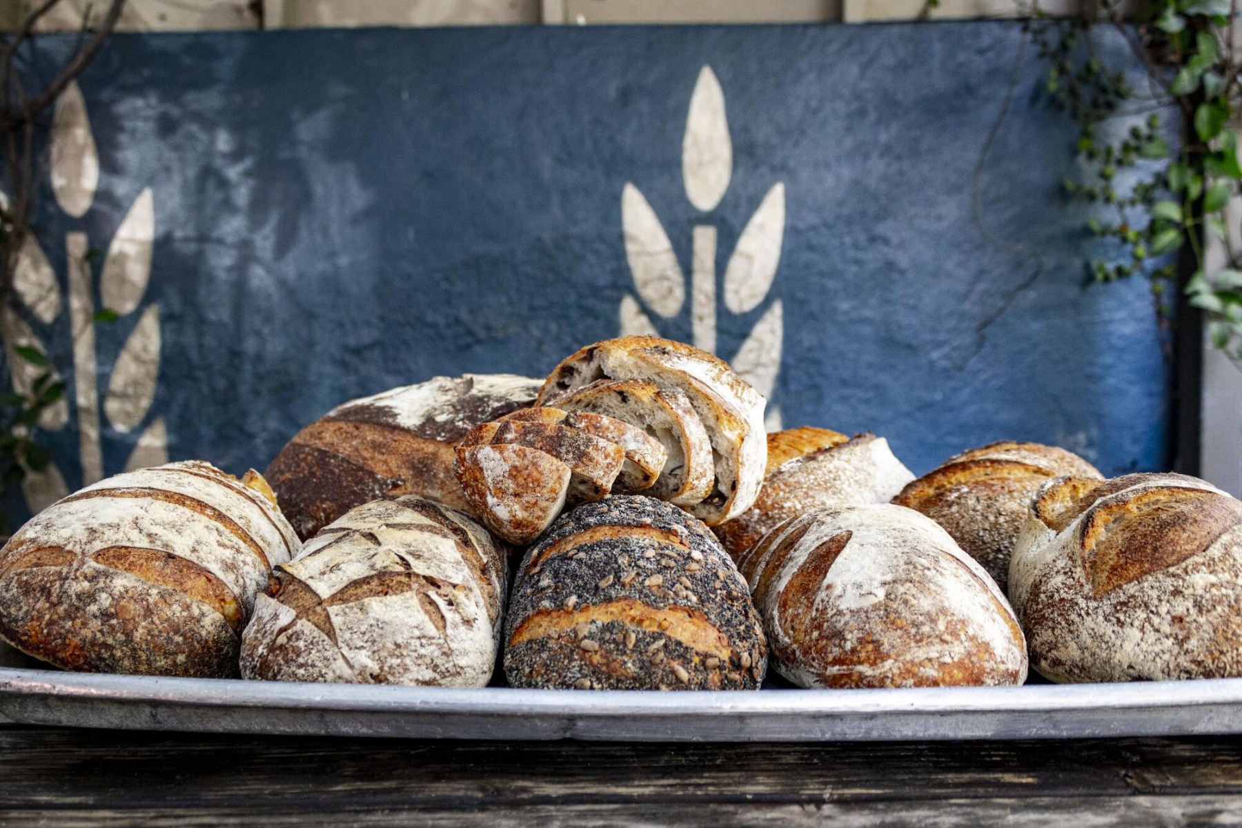 Bread Lounge