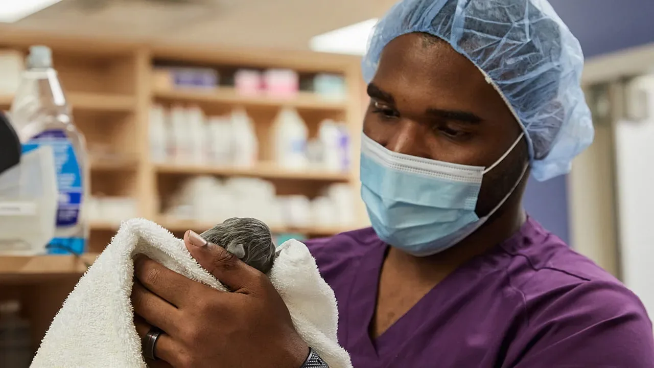 VCA Povar Animal Hospital photo 7