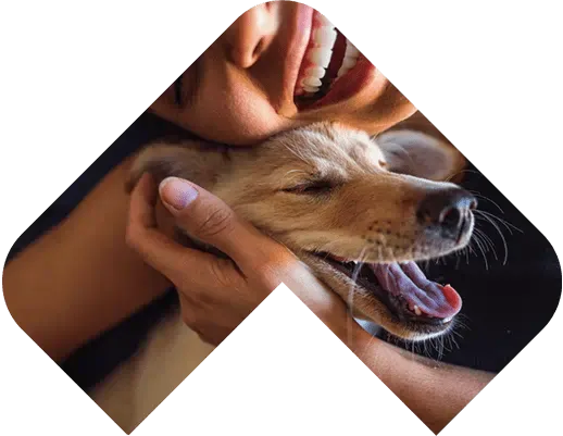 VCA Povar Animal Hospital photo 4