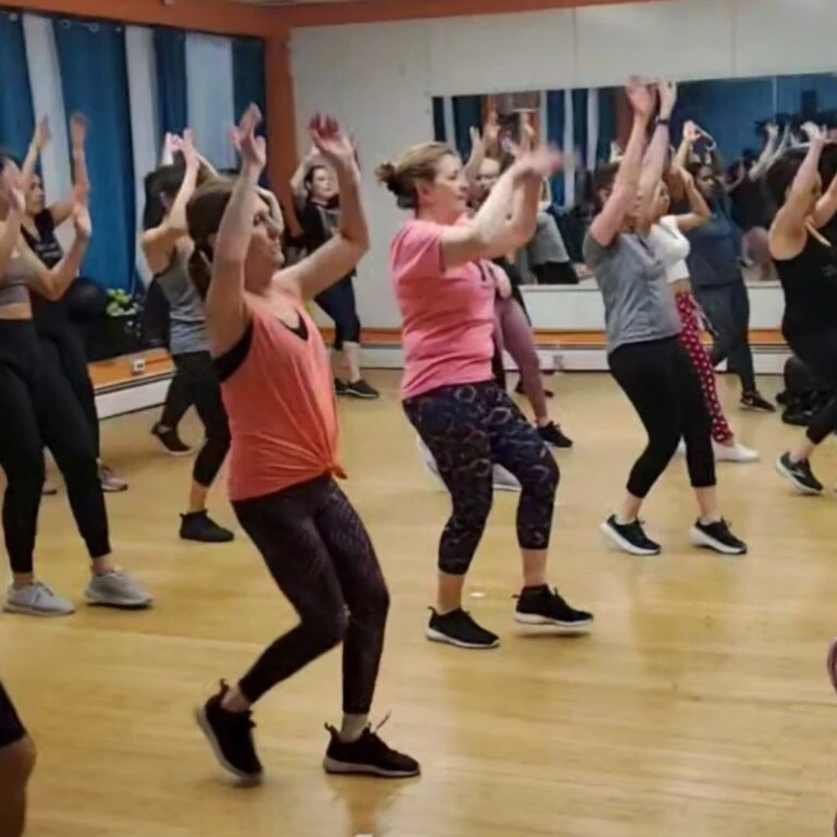 Shape It Up Fitness