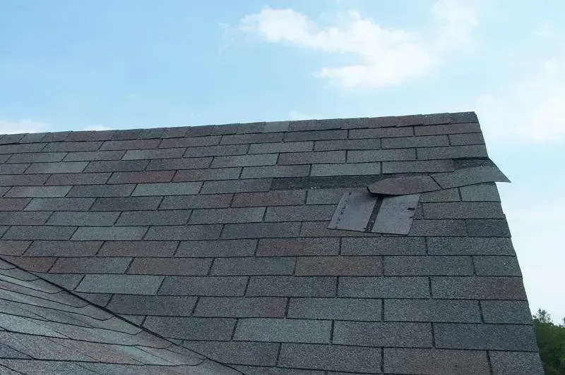 Francisco's Roofing Inc. photo 9