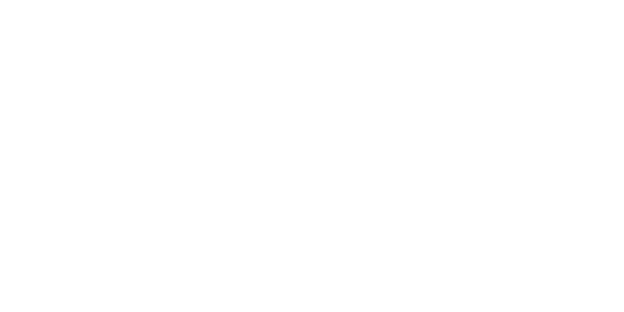 Horizon Healthcare Partners logo