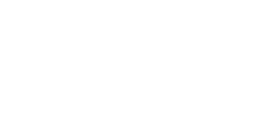 Horizon Healthcare Partners