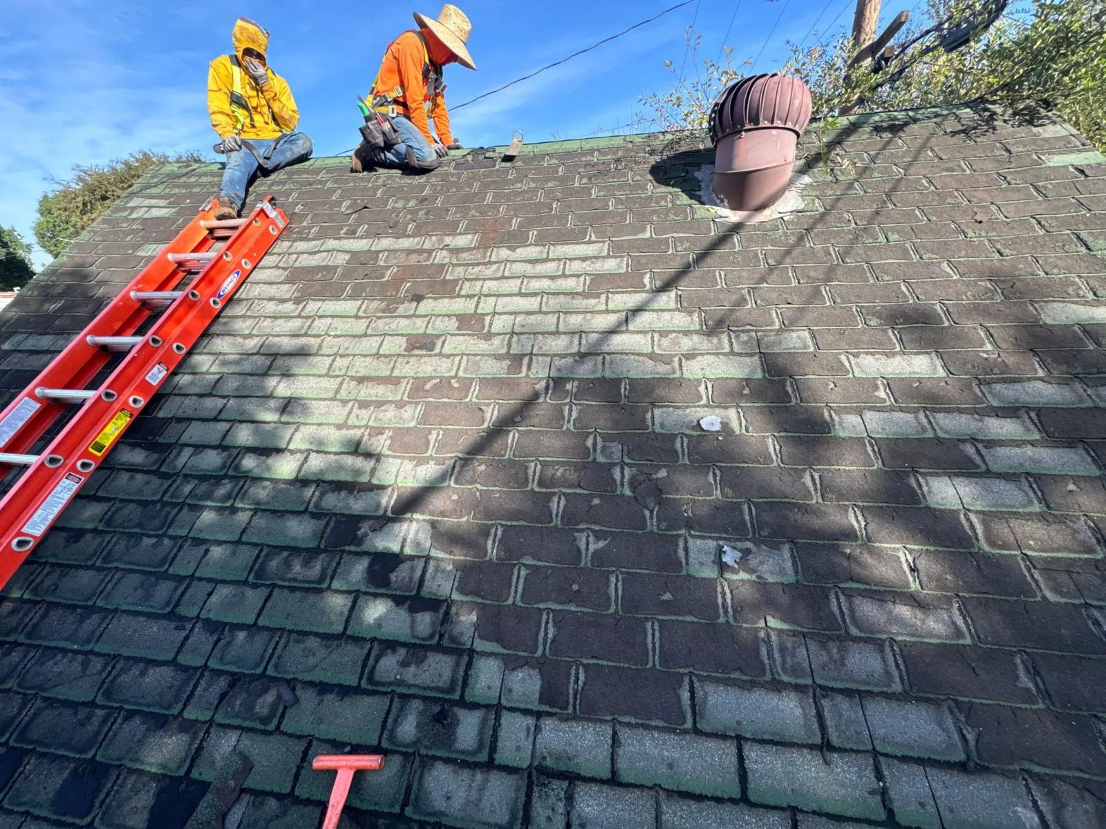 Roof Repair & Construction