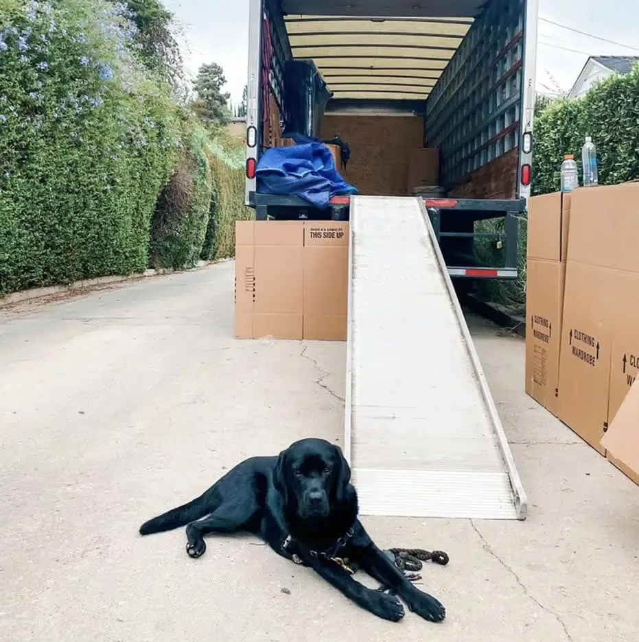 Pure Moving Company Los Angeles Movers Local & Long distance photo 3